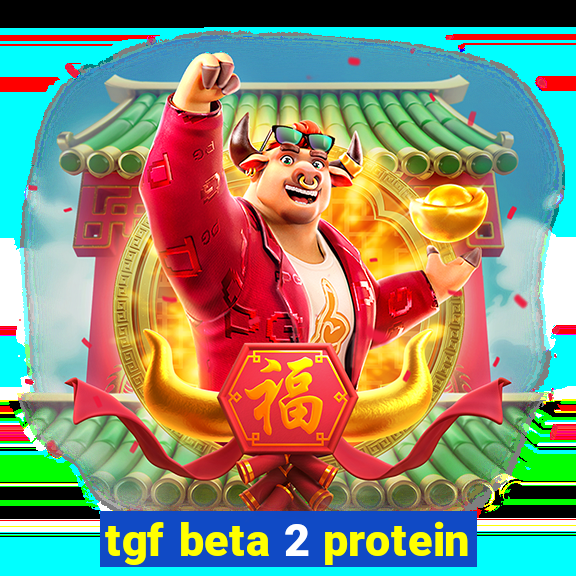 tgf beta 2 protein